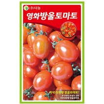 [바보사랑] 영화 방울토마토 씨앗 (50립) -텃밭 쌈채소 키우기, 상세 설명 참조, 상세 설명 참조