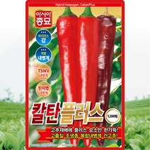 칼탄플러스고추 씨앗 칼탄 고추 씨 종자 1200립, 단품
