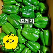 프레치 국내산 아삭 싱싱한 청피망 피망, 상, 5kg