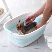 퐁퐁 접이식 반려동물 욕조 블루 애견목욕기 고양이목욕 강아지욕조 펫바스