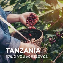 [커피생두] 탄자니아 부코바 하이랜드 로부스타 1kg