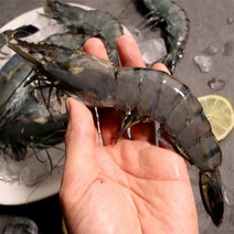 블랙타이거 새우 냉동새우 캠핑음식 요리 10미 15미 20미 25미 30미, 3.블랙타이거 새우 20미 x 1팩