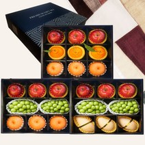 프리미엄 고급 과일 선물 세트 제수용 제사 사과 배 한라봉 샤인머스켓 망고 혼합 세트, 3. 혼합 과일 선물세트 1호