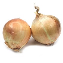 야채왕 햇 양파 1kg 5kg 10kg, 양파5kg