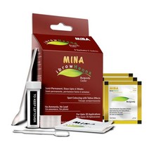 MINA ibrow 헤나 레귤러 팩 및 컬러링 틴트 키트 최대 6주(펄 그레이) MinaiBrow, Graphite