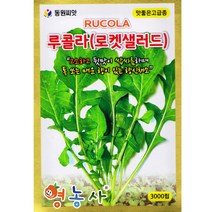 루꼴라 로켓샐러드씨앗 3000립, 단품