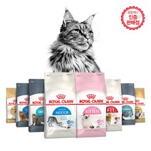 로얄캐닌 고양이 사료 1.5KG 2KG 건식사료 11종 - 사은품 증정, 유리너리 2kg