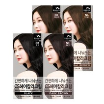 꽃을든남자 CS 나눠쓰는 헤어칼라 염색약 염모제, N3흑갈색, 3개