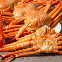 [산지직송]구룡포 홍게 당일조업 싱싱한 자숙 연지홍게 프리미엄 박달홍게, [박달급] 홍게 3kg(10~13미)