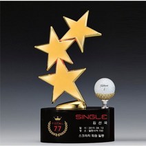 [유원]홀인원패 싱글패 사이클버디 골프트로피