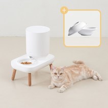 N포인트 5000/그릇 추가 두잇 더테이블 플러스 스마트 자동급식기, M (12x4cm)