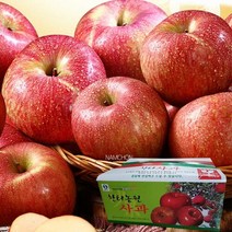 [충주사과] [한터] 9kg (30-34과), 상세 설명 참조, 상세 설명 참조