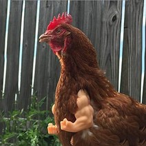 치킨 팔 치킨 앞다리 공룡 스푸핑 애완 동물 소품 치킨 팔 헐크 암 치킨 테마 재미있는, 팔 근육