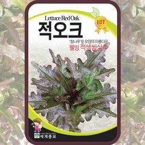적오크 씨앗 오크리프 오크상추 유럽상추 종자 2000립 쌈채소키우기, 단품