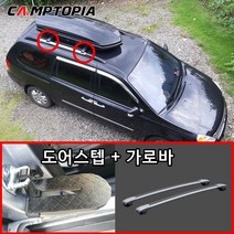 그랜드카니발루프박스 최저가로 저렴한 상품의 가성비와 싸게파는 상점 추천