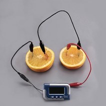 과일전지 만들기(1인용)(디지털시계) JUN-교구9746A