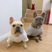 프랑스 불독 옷 까마귀 고양이 푸들 Bichon Frize 슈나우저 Pug 개 의류 티셔츠 Welsh Corgi Shiba Inu 의상 복장, 하얀색, 중