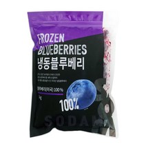솜 냉동 블루베리 1kg / 미국산 A등급, 3kg(1kgx3팩), 3개