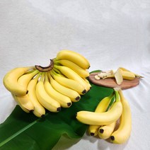 친환경 마음밭 국내산 후숙바나나 1.5kg 2.5kg 10kg 무농약 및 유기농, 2.5kg(1개), 1박스
