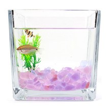 꾸미기 컬러 유리 돌 자갈 핑크 구피 퍼플 어항 250g, 믹스퍼플돌