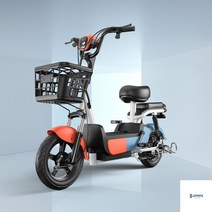 전기자전거 퀄리스포츠 스마트 전기팻바이크 모터 배터리 소형 충전, 01 48V, P 24A 90km