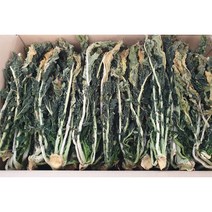 강원도 양구 청정지역 직접재배 햇 시래기 무청 건시래기(1kg), 1개, 어린시래기(1kg)