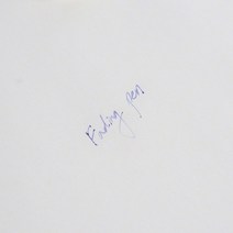 TPOG 대용량 지워지는 기화펜 순삭펜 수험생 리필 세트, 1개, 고양이 볼펜 추가