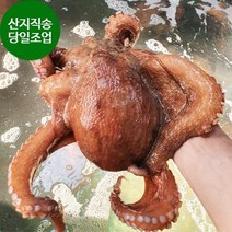 최상급 자연산 여수 돌문어 당일어획 내일도착 제수용 문어 1kg 한마리