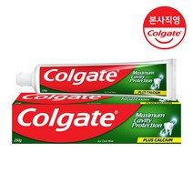 콜게이트 플루오라이드 투스페이스트 아이씨쿨민트, 250g, 1개