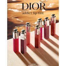 디올 어딕트 립틴트 491 771 421 561 251, 251 내츄럴 피치