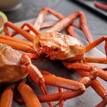 그곳에가면 포항 구룡포 자숙 연지 홍게 박달형 3kg 10미내외