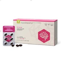 두뇌건강 은행잎추출물 기억력개선 엔트리 생생큐, 1박스