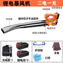 부로아 브로어 브로아 산업용 송풍기 낙엽 눈 휴대용 고출력 송풍기 잎 송풍기 청소기, 32800ha 충전식 스톰 와인더(배터리 2개와