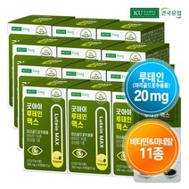 건국유업 [건국유업] 굿아이 루테인 맥스 30캡슐x12개(12개월)