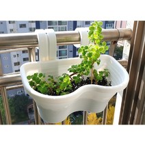 베란다걸이형 오아시스 화분 2구 3구 난간 행잉화분걸이 걸이식 도시농업 채소화분 텃밭화분 홈파밍, 화이트