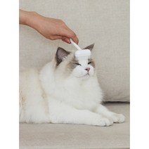 일루 그루밍 고양이빗 1+1, 1개, 화이트+화이트