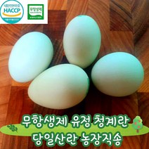 청계란 무항생제 유정란 청란 청계알 난각번호2번 동물복지 계란 당일산란 농장직배송, 40구