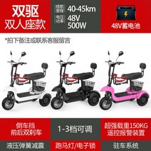 3륜전기자전거 전동 세발 자전거 성인용 3인용 삼륜 세발자전거 가성비 전기, 48V, 48V 2인용- 축전-2인승-원터치 시동