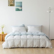 [소프라움] 페이톤 폴란드80 60수 구스다운 사계절 차렵이불 킹 (색상선택), 아이보리/킹(MDS23AS01D15IVK)