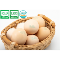 [[[[ 친환경 축산 대상 감사 이벤트] [[] 유기축산인증 동물복지인증 백봉오골계 방사 유정란, 계란40개