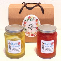 임셰프 수제청 선물세트 500ml, 배도라지청+레몬청