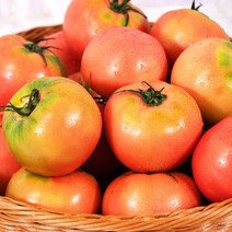 오늘은 플렉스 찰토마토 가정용 3kg, 01_찰토마토 3kg 4~5번