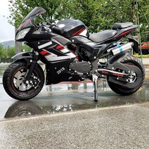 미니 소형 오토바이 성인용 미니 바이크 49cc, 미니 트로트 라이트 전기차(배터리 충전)