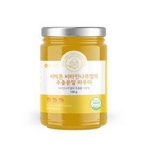 씨벅톤 비타민나무열매 추출분말 파우더 120g, 1통