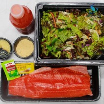 겨울제철 국내산 1급수 송어회 세트 250g 400g 600g 필렛형 통살 송어 비빔야채 콩가루 초장, 송어회 세트 600g(가시제거X)