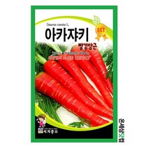 아카쟈키 300립 / 당근씨 당근씨앗 과일채소 씨앗