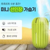 저소음 탁상용 선인장 무드등가습기 가습기추천 미니가습기 자취인테리어, 네오투엠 838선인장가습기 라이트그린