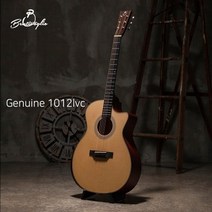 [벤티볼리오] Bentivoglio 제뉴인 Genuine1012lvc 입문용 기타 풀패키지, 벤티볼리오 듀얼소소