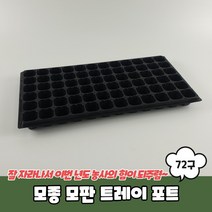 씨앗키우기 모종 모판 육묘 포트 72구