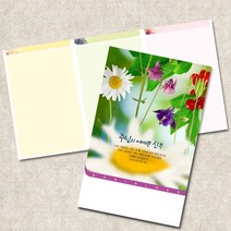 주보용지 3단 주보 교회 예배 주보인쇄 기성 디자인 칼라 청년부 주보 제작 기독교용품, EW-44
